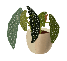 Plants Jungle Sticker