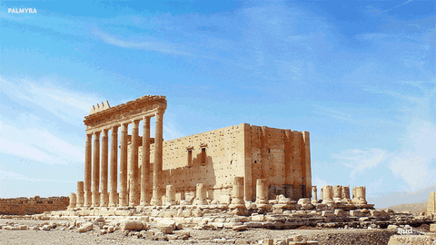 yaroslavastrutsynska giphyupload GIF