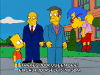 the simpsons GIF