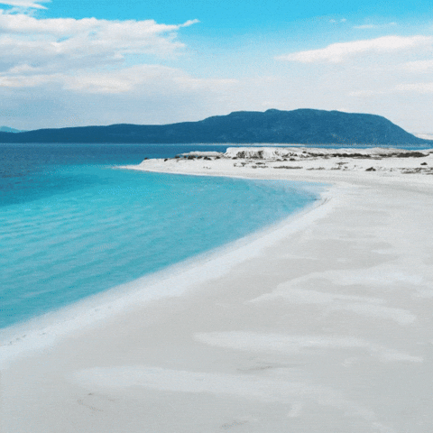 Travel Swimming GIF by TRT