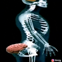 Thinking Structure GIF