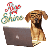 Dog Working Sticker by NEVITALY