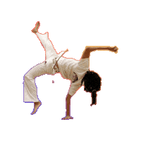 Moves Capoeira Sticker by capoeiraluebeckmli