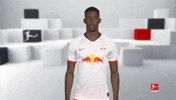 Looking Line Up GIF by Bundesliga