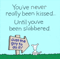 chippythedog love dog kiss dogs GIF