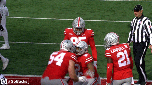 Ncaa Sports GIF by Ohio State Athletics