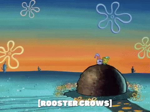 season 5 the original fry cook GIF by SpongeBob SquarePants