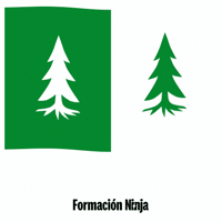 Bandera Malaga GIF by Formación Ninja