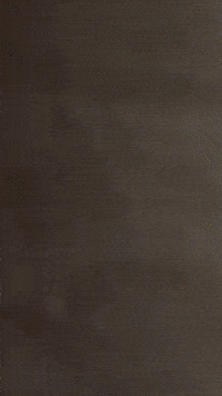 Finn Gunter GIF by Youtooz
