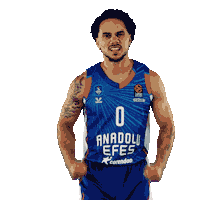 Sport Basketball Sticker by Anadolu Efes SK