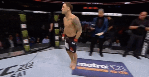 ufc 211 GIF