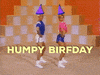 Happy Birthday Hump GIF by Birthday Bot