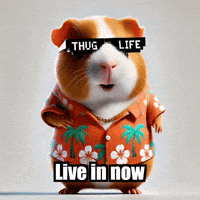 Joy Mindfulness GIF by Guinea Gambino