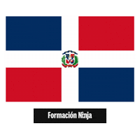 Republica Dominicana Flag Sticker by Formación Ninja