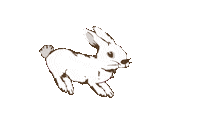 Bunny Rabbit Sticker by Munchkin & Bear