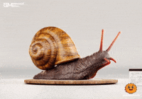 Animation 3D GIF