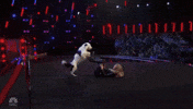 nbc GIF by America's Got Talent
