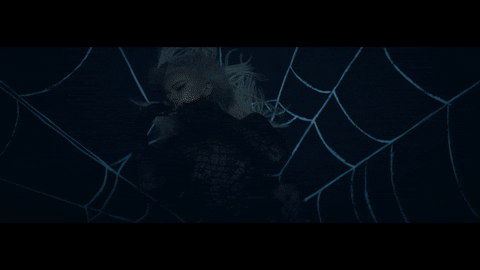 my name is alice spider GIF