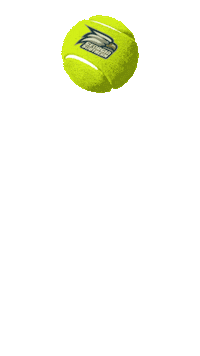 Georgia Southern Tennis Sticker by Georgia Southern University - Auxiliary Services
