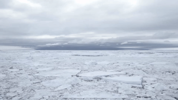 ice GIF by NOWNESS