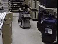 hauntedvault silly joke mtv crash GIF