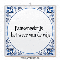 Humor Ontspanning GIF by Tegelspreuken.nl