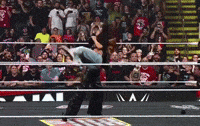 Sasha Banks Wwe GIF