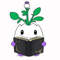 Education Read GIF by Magic Eden