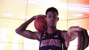 Arizona Wildcats GIF by Arizona Men's Basketball