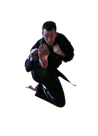 Kick Karate Sticker by Verve Taekwondo
