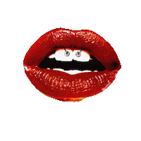 Logo Piercing Sticker by Piercingstudio heul doch