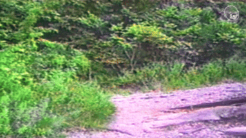 Love Comes When You Least Expect It