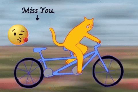 giffy8031 giphygifmaker giphyattribution GIF