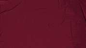 College Baseball GIF by Pearl River Athletics