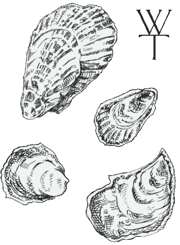Seafood Wt Sticker by Weston Table