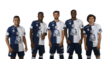 Liga Mx Cf Pachuca Sticker by Club Pachuca Tuzos