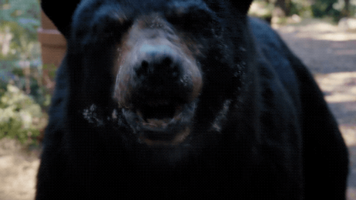 Bless You What GIF by Cocaine Bear
