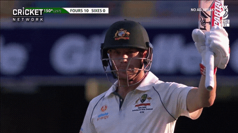 David Warner Test GIF by cricketcomau