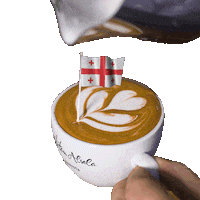 Coffee Time Georgia Sticker by Dritan Alsela Coffee