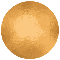 CreativPanda new new post gold creativpanda Sticker