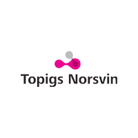 Suino Duroc Sticker by Topigs Norsvin Brasil