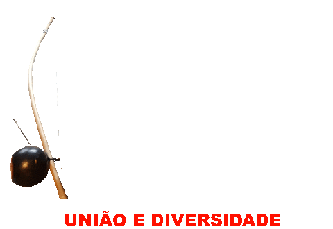 Capoeira Diversidade Sticker by capoeiraluebeckmli