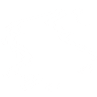 Video Novo Sticker by CHDigital