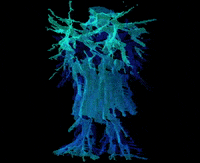 C-H-E-M-I-C-A-L GIF by The Chemical Brothers