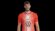 Germany No GIF by VfL Wolfsburg