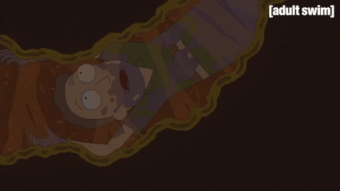 Season 3 Episode 305 GIF by Rick and Morty