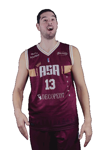 Basket Alliance Sticker by BC GRIES OBERHOFFEN