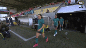 Team Walk Out GIF by Football Australia