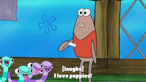season 9 episode 21 GIF by SpongeBob SquarePants