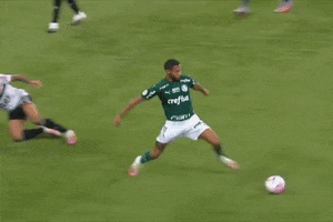 Sao Paulo Fc Futebol GIF